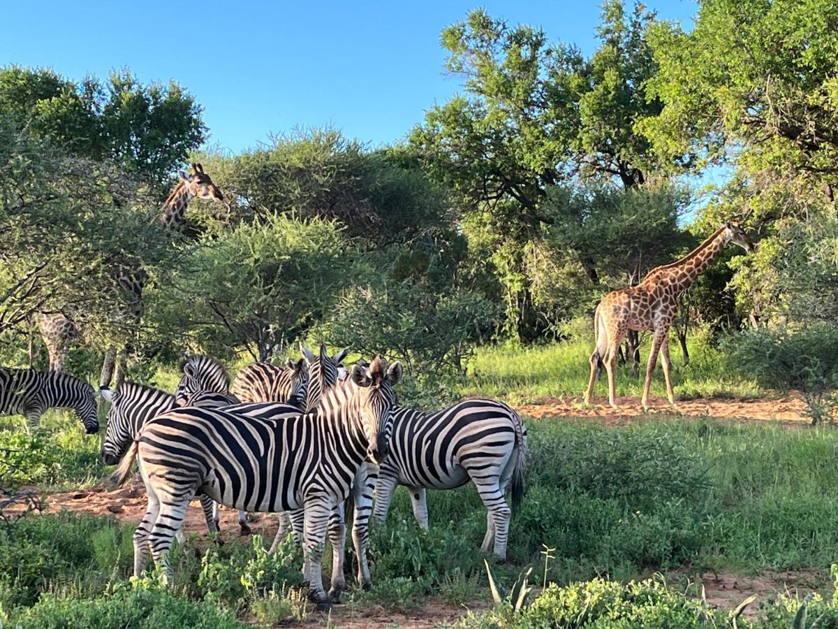 Lindiwe Safari Lodge Hoedspruit Exterior foto